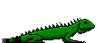 Green lizard