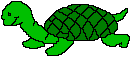 Green turtle