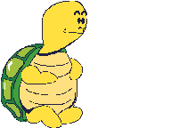 Turtle 5