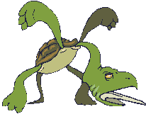 Weird turtle