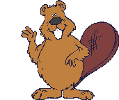 Beaver 3