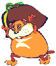 Hamster carries