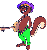 Squirrel musician