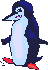Blue penguin
