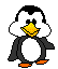 Penguin 3