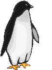 Penguin 4