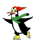 Penguin skates