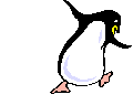 Funky penguin