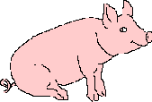 Pig 2