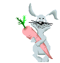 Carrot