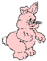 Pink bunny
