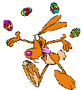 Rabbit juggles