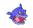 Angry shark