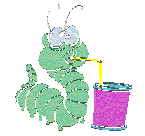Worm drinks