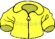 Yellow jacket