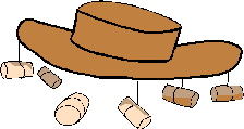 Gaucho hat