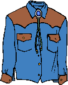 Cowboy shirt