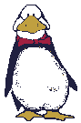 Penguin blinks