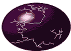 Pink oval