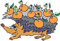 Hedgehog with apples