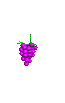 Purple grapes