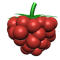 Rasberry