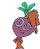Beet