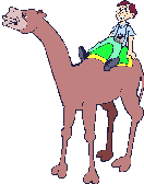 Tourist on camel