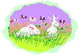 Bunnies in field