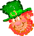 Leprechaun face