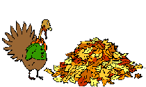 Pile of leaves