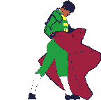 Bullfighter