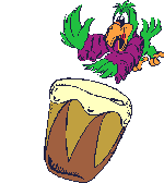 Parrot conga