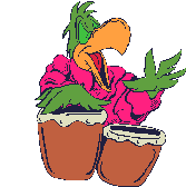 Parrot grooves