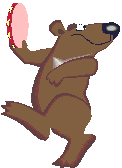 Tamborine bear 2