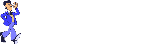 Man flips