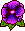Pansy small 2