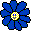 Small daisy