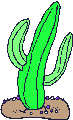 Cactus dances 2