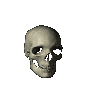 Skull rotates