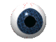 Eye ball