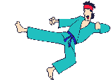 Fighter