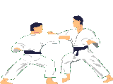 Judo match