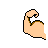 Muscle